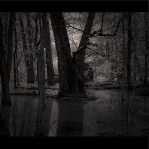 Meet your Posher, Shawna